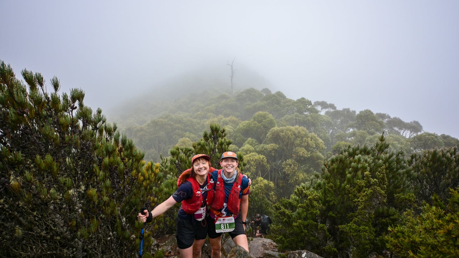 Misty moods on top of Montagu Thumbs