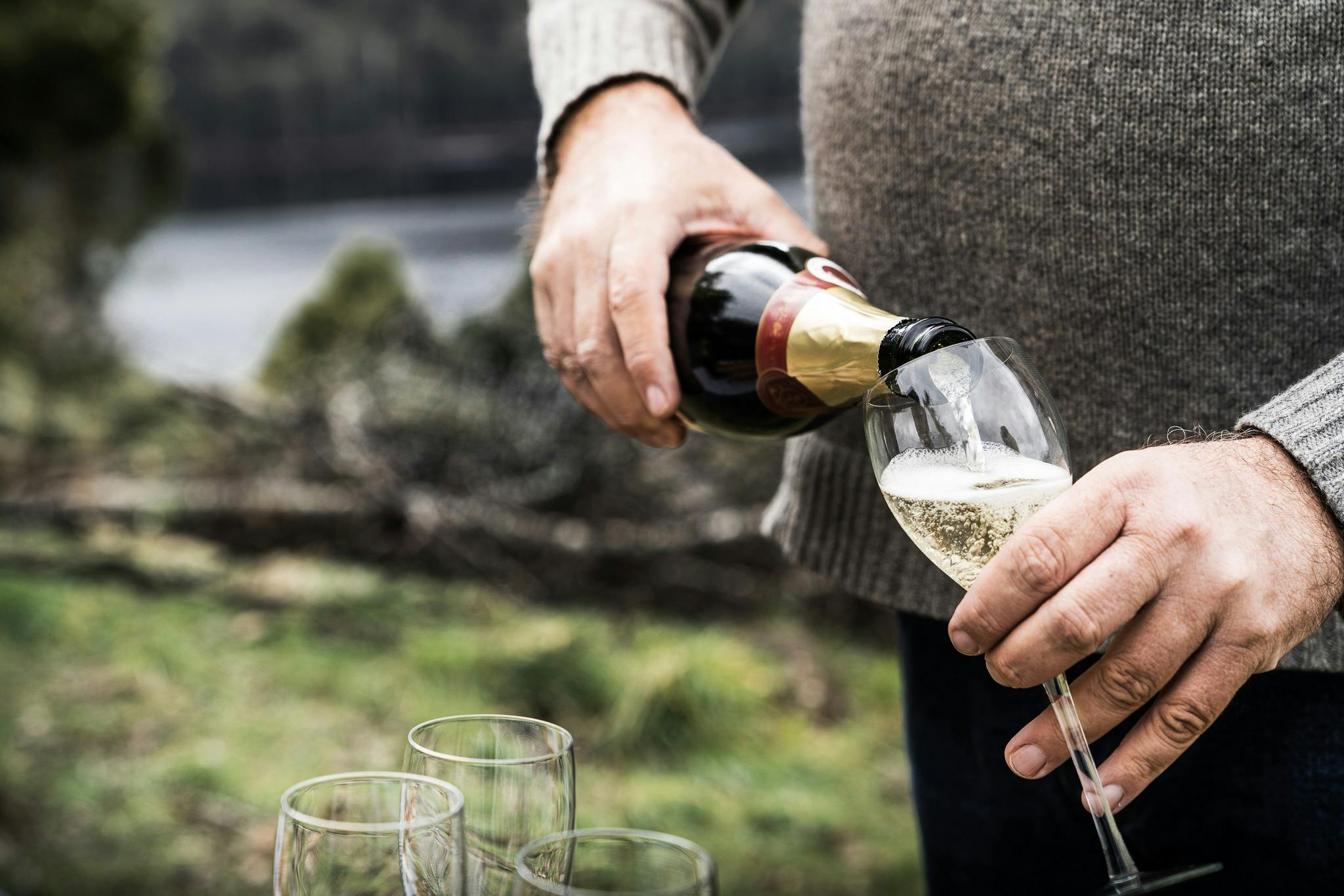 wine
