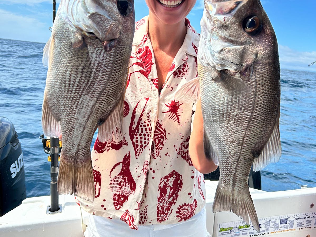 pearl perch