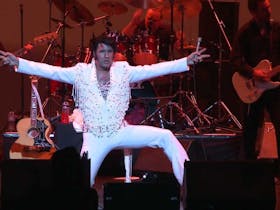 Elvis The Legendary Performer Cover Image