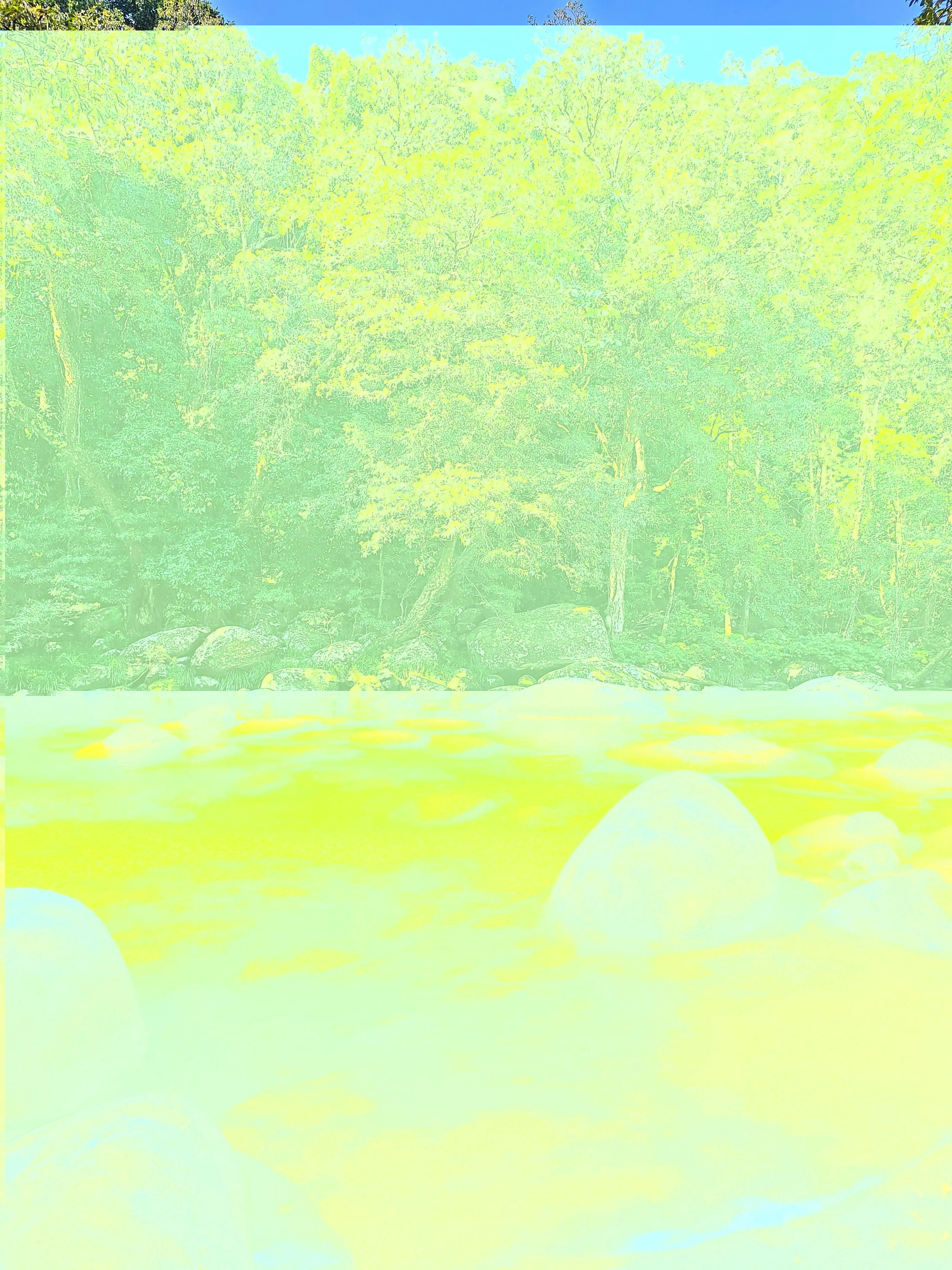 Mossman Gorge