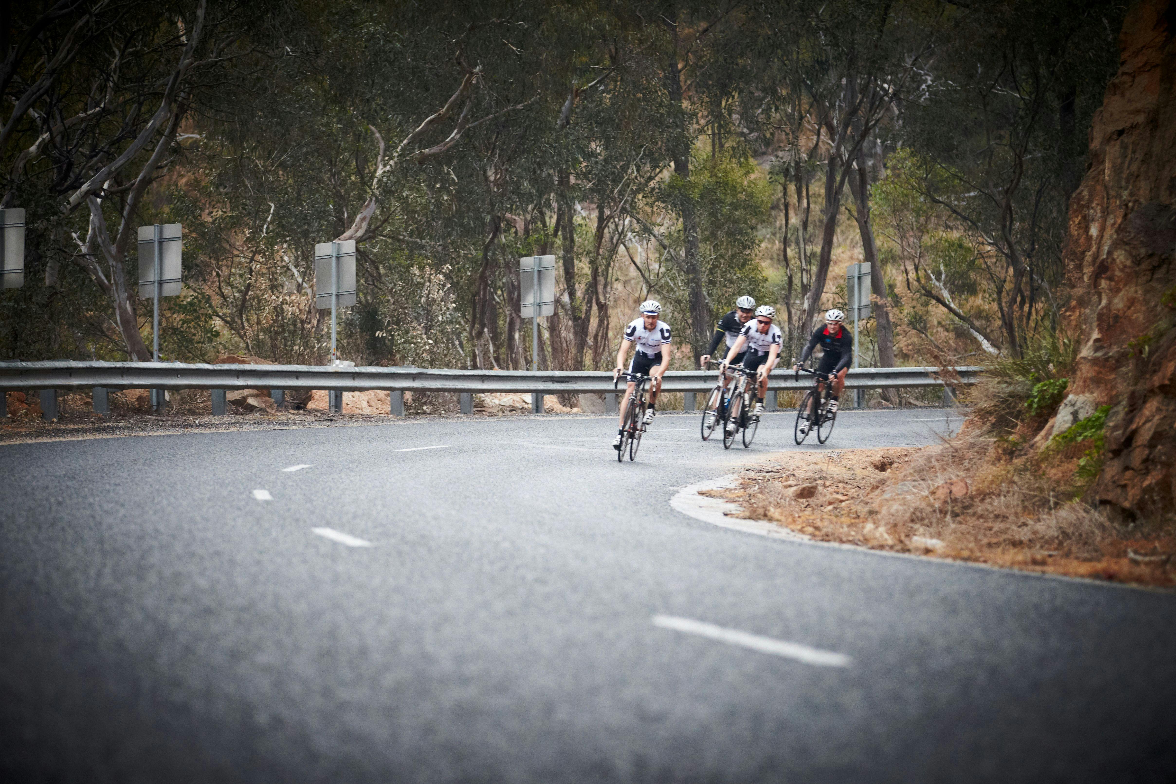 Cyclist on a mountainous road with gum trees in the background at the Warby Ovens National Park