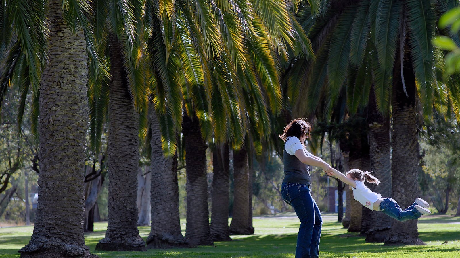 Jellicoe Park Moree