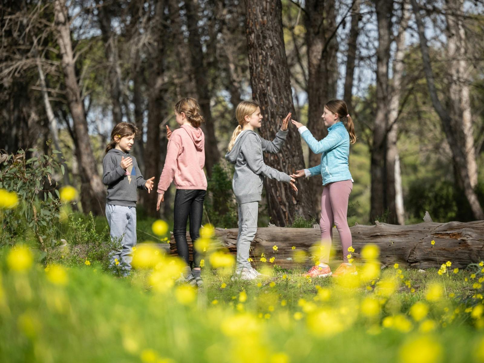 Forest, Smores and Explore - School Holiday