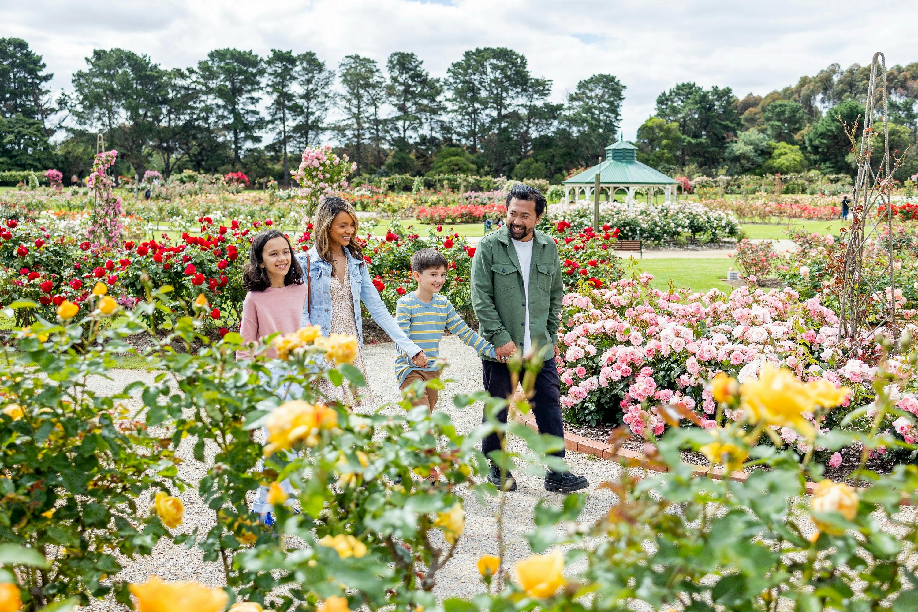 two adults and two children holding hands and walking in amongst roses