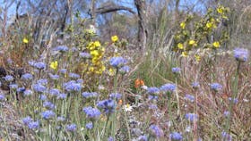Totadgin Conservation Park