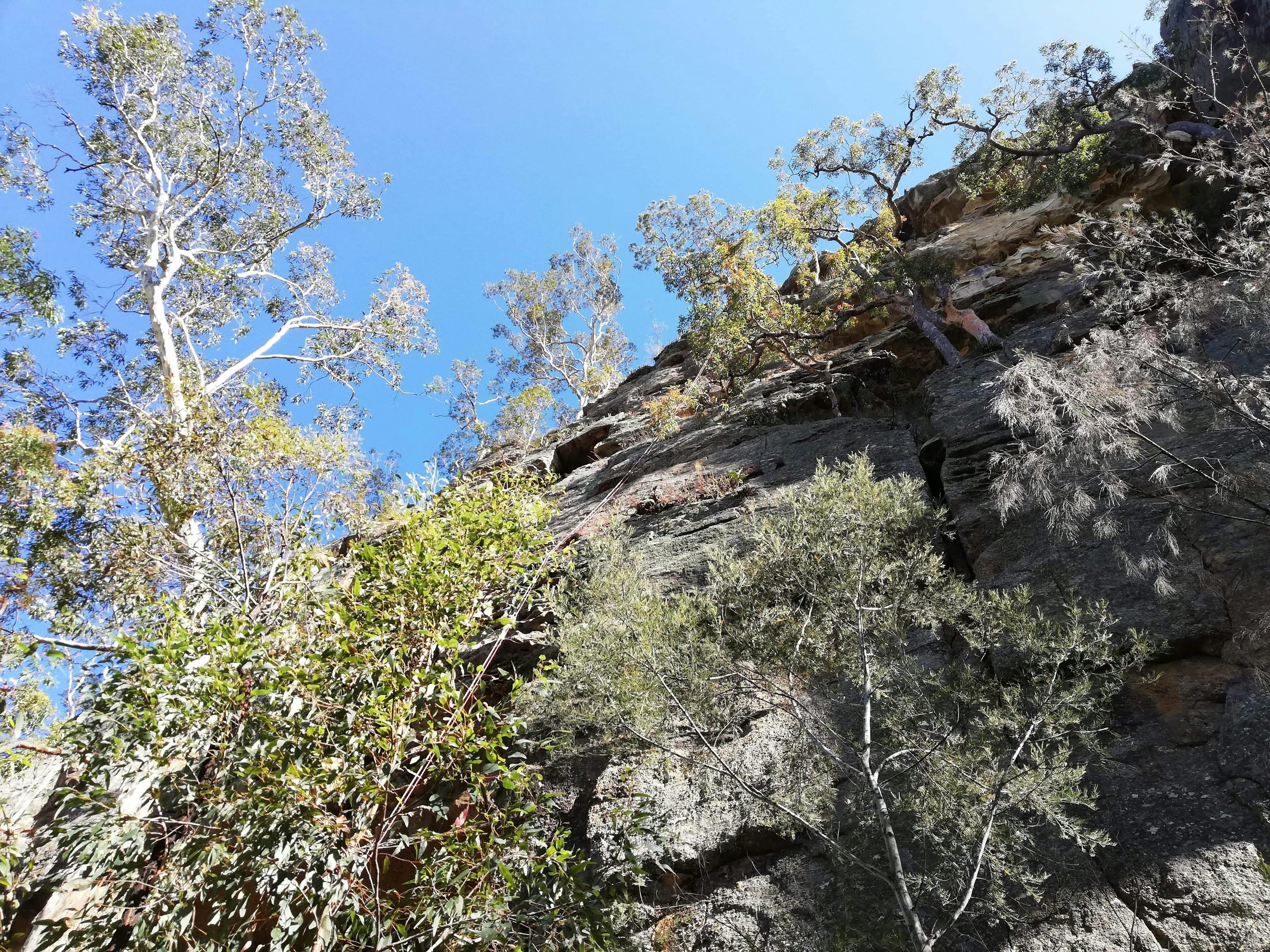 Hunter Valley  Abseiling Adventure