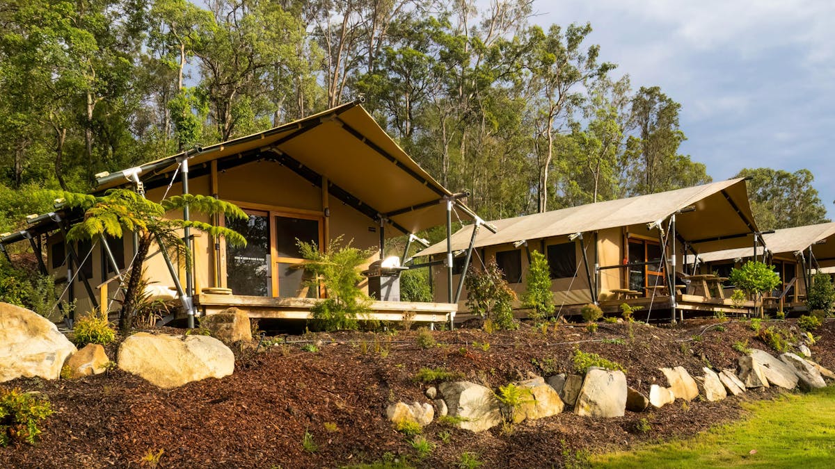 External photo of two of Woodfordia's Glamping Tentsdias