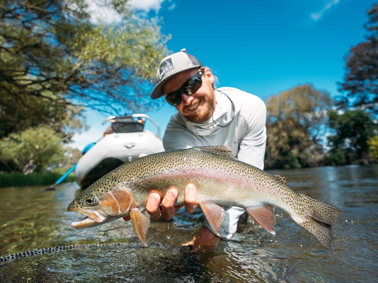 Rainbow trout eagerly feed with consistency throughout the trout season on the Tumut River.