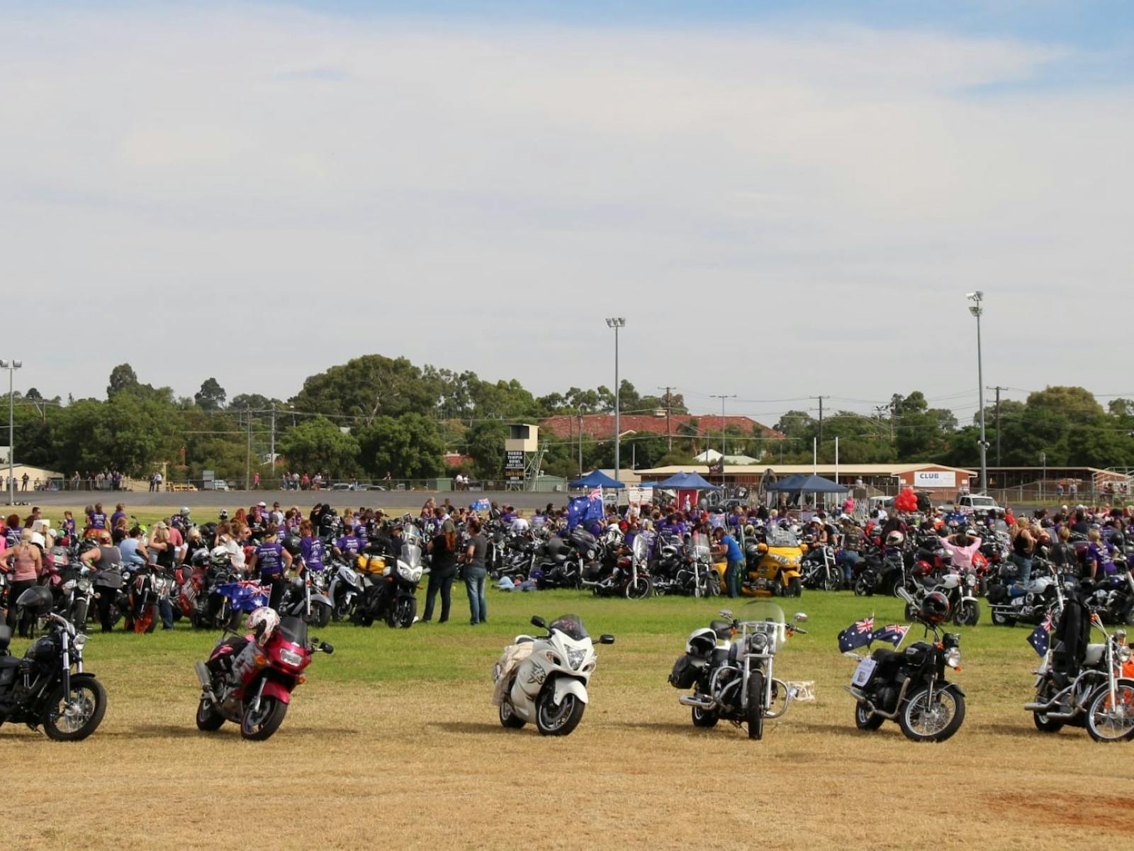 lots and lots of motorcycles