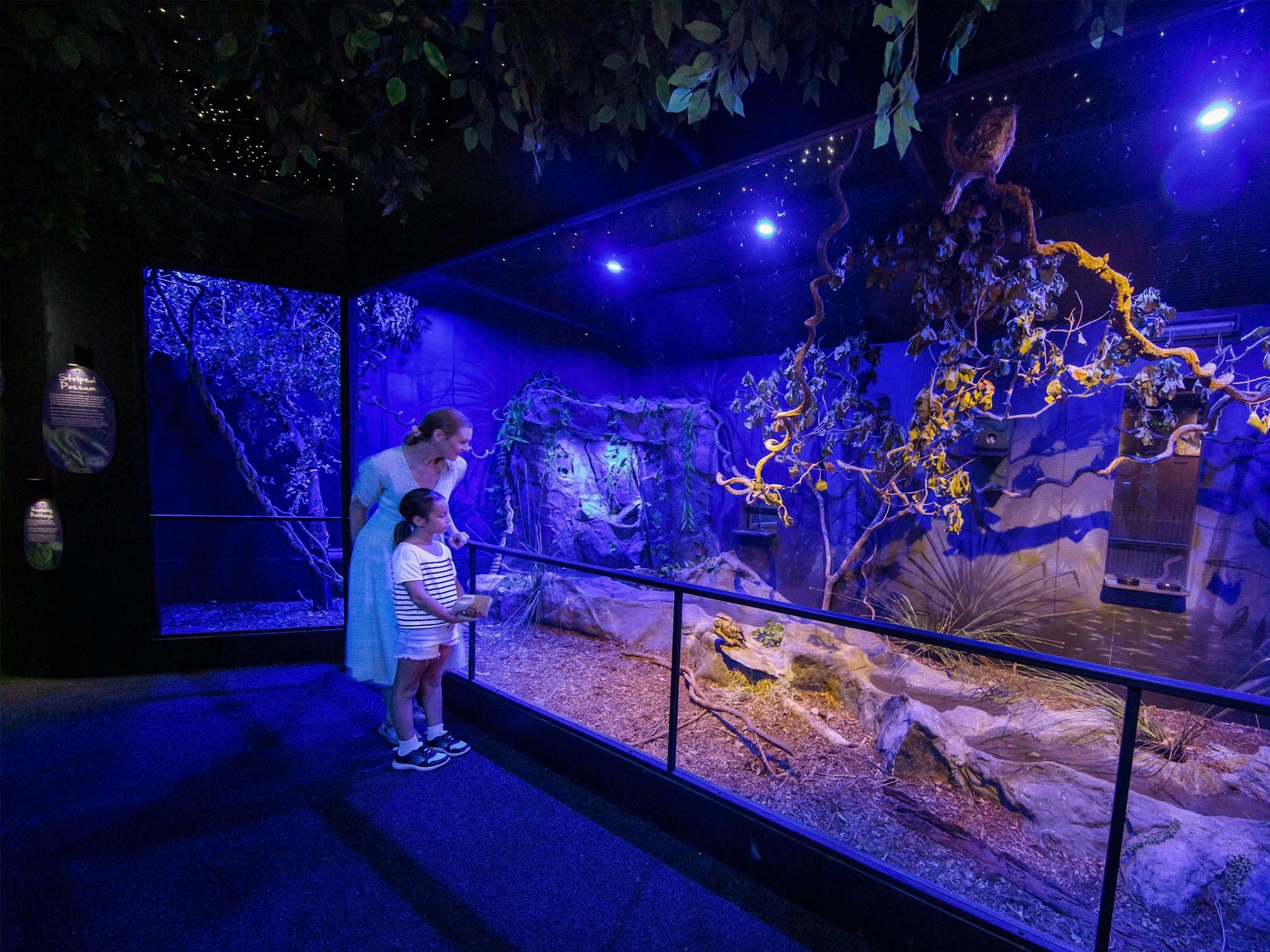 A mother and daughter standing in front of a wildlife enclosure with a makeshift starry sky
