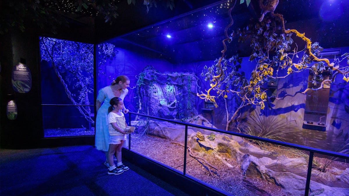 A mother and daughter standing in front of a wildlife enclosure with a makeshift starry sky