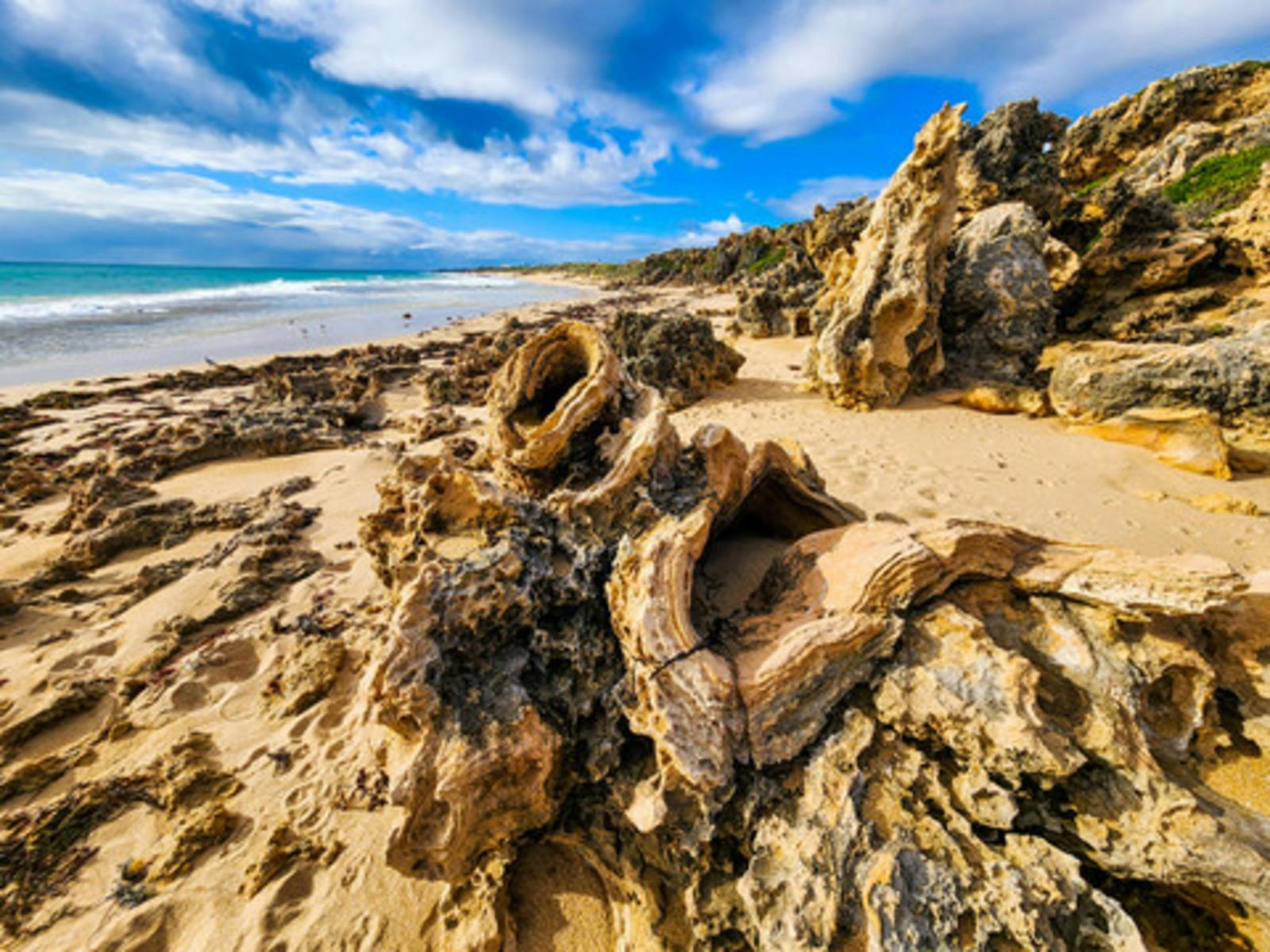 Seascapes Beach - Ancient Limestone Forest