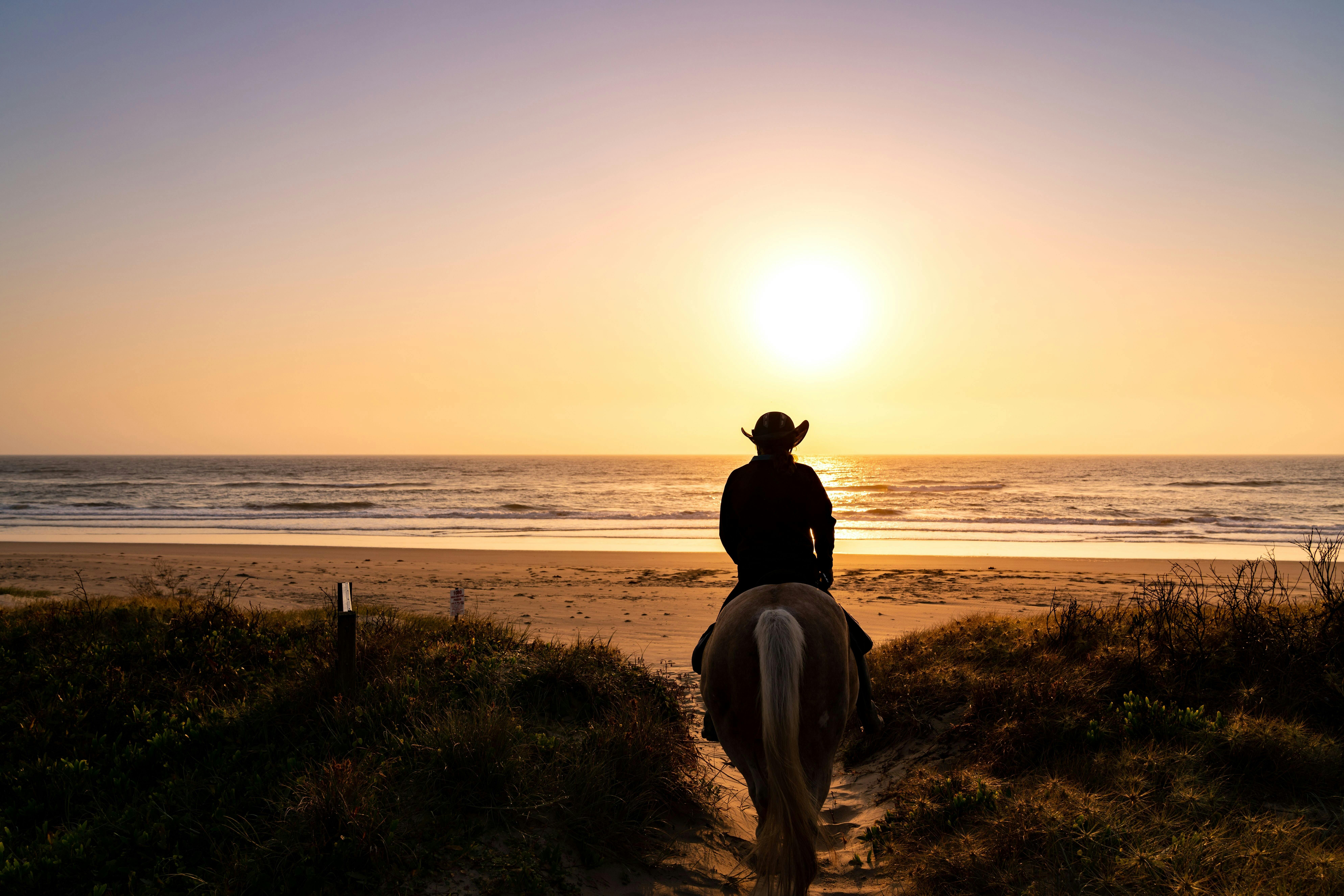 Horse riding at sunrise, 7 mile beach, shoalhaven heads, horses at the beach, horses swimming,