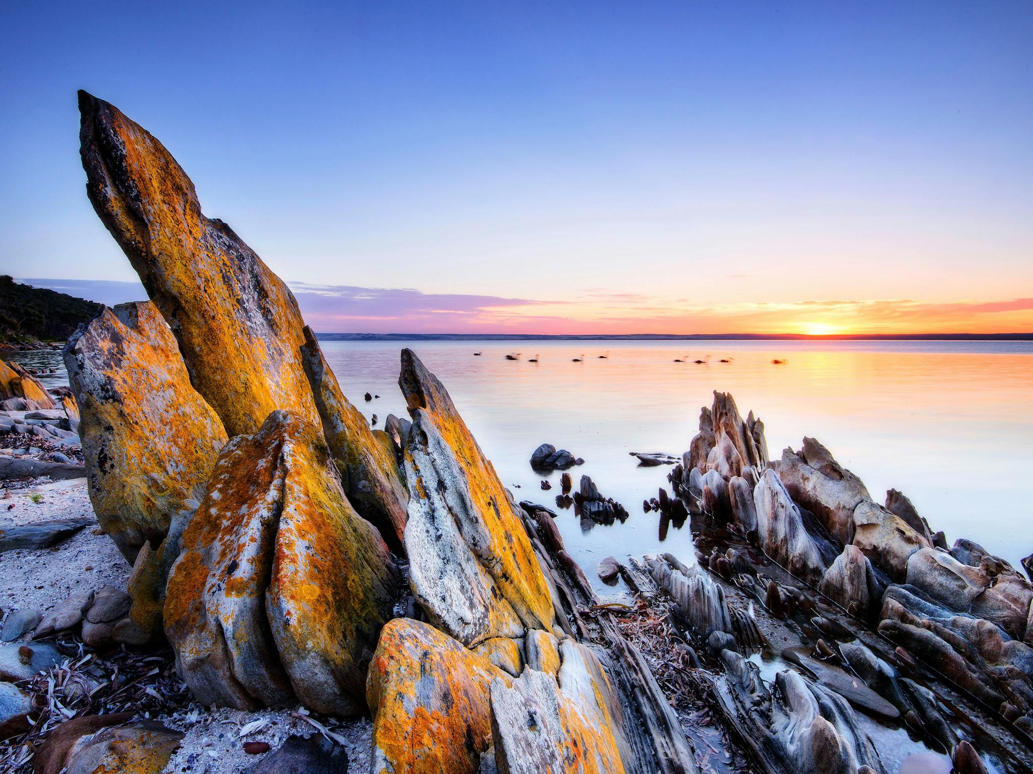 AAT Kings Guided Holiday