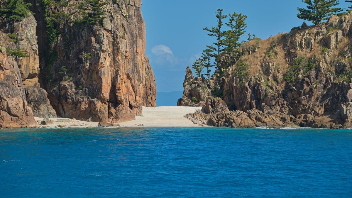 Mainstay Sailing - Dolphin Point