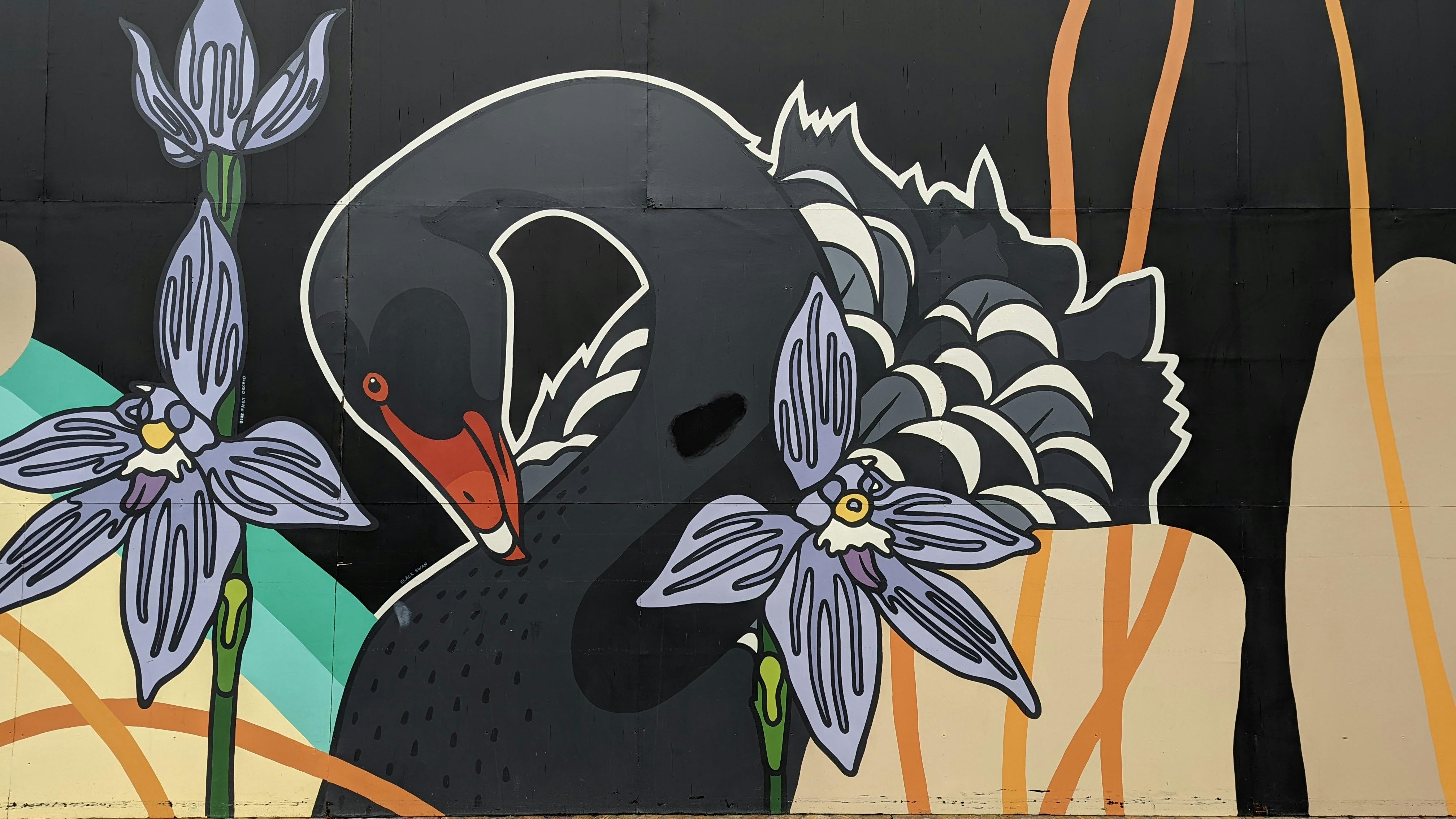 Street art with a black swan