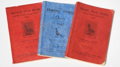 War time diaries