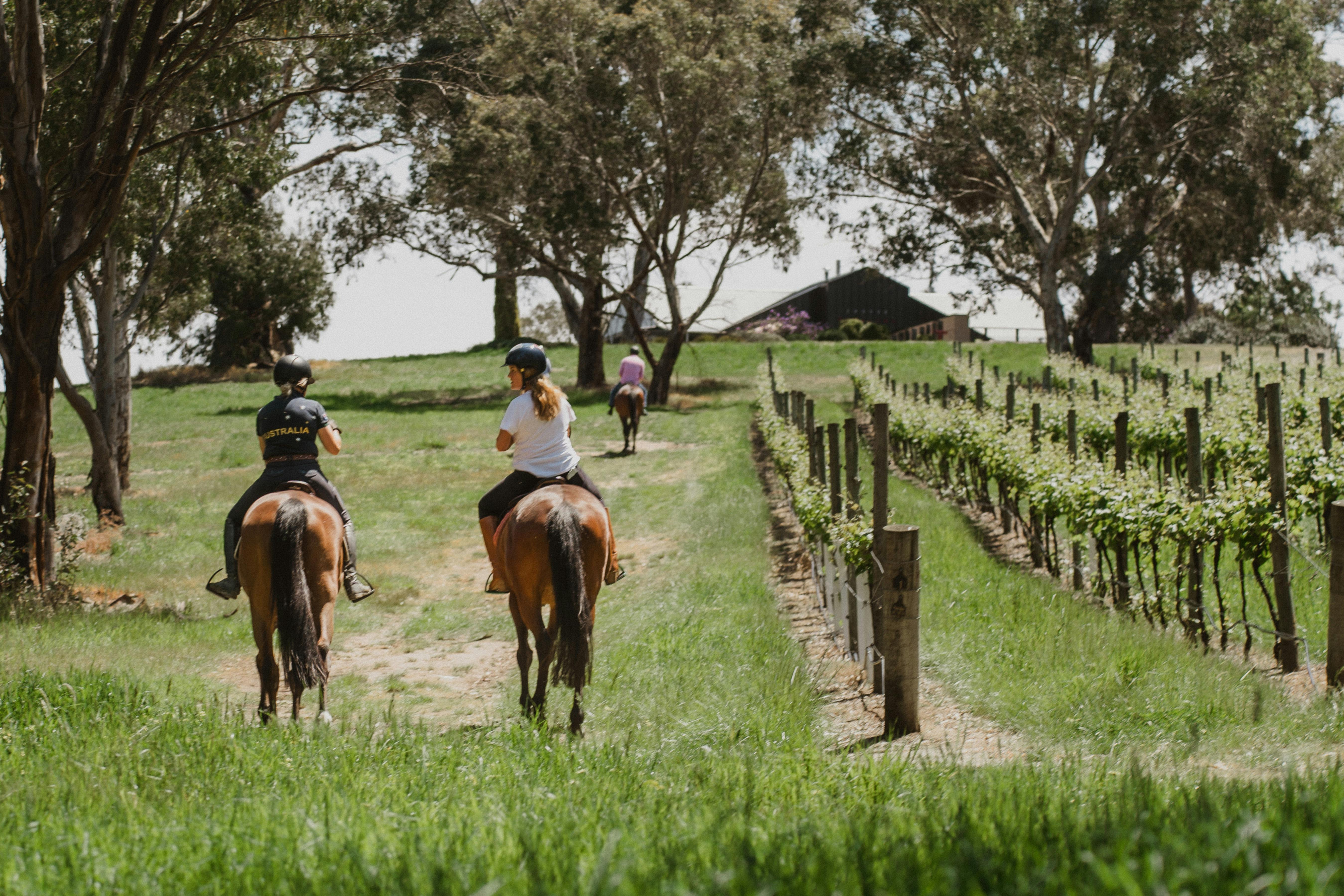 VIP Private Horse Trail Ride & Lunch with Olympian Megan Jones at Petaluma