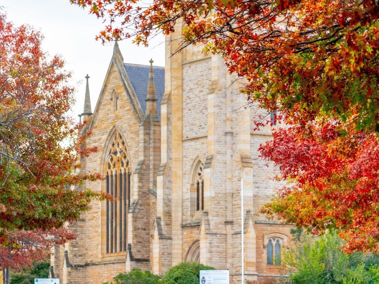 Front of St Saviour's Cathedral with autumn leaves