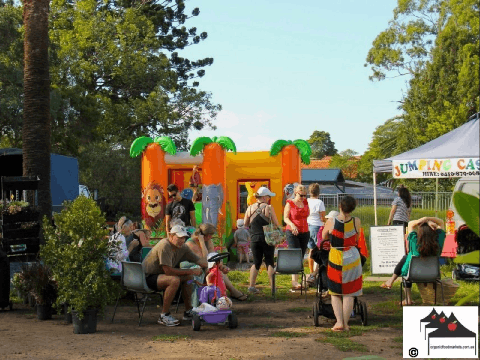 Image for Orange Grove Organic Markets