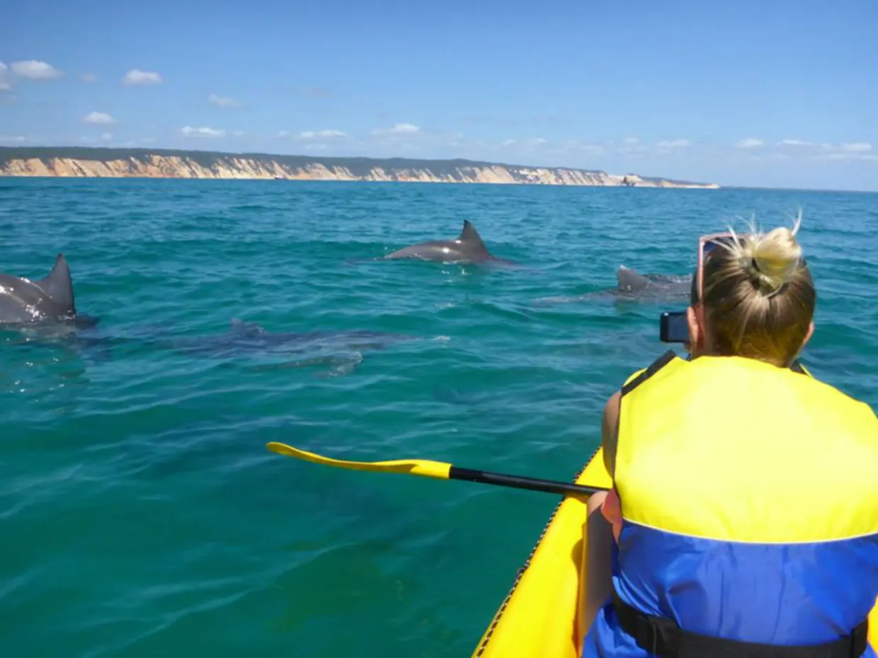 Noosa Dolphin Sea Kayak Tour & Beach 4X4 Adventure