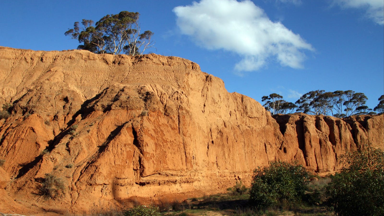 Red Banks Conservation Park