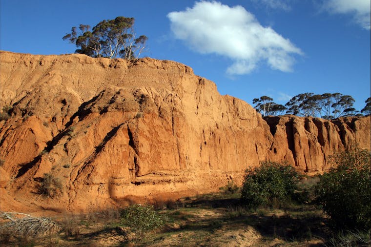 Red Banks Conservation Park