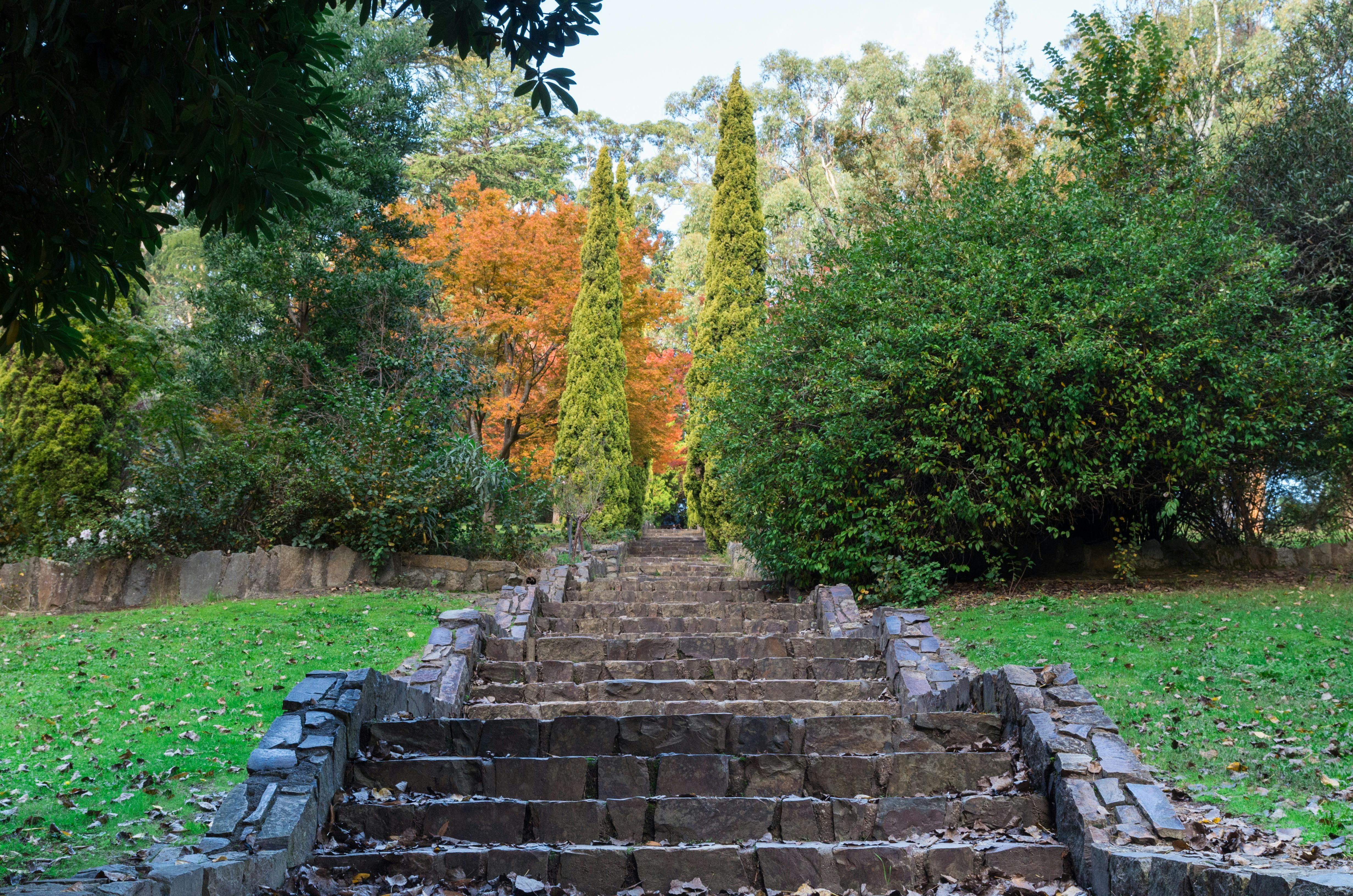 Maroondah Dam Steps