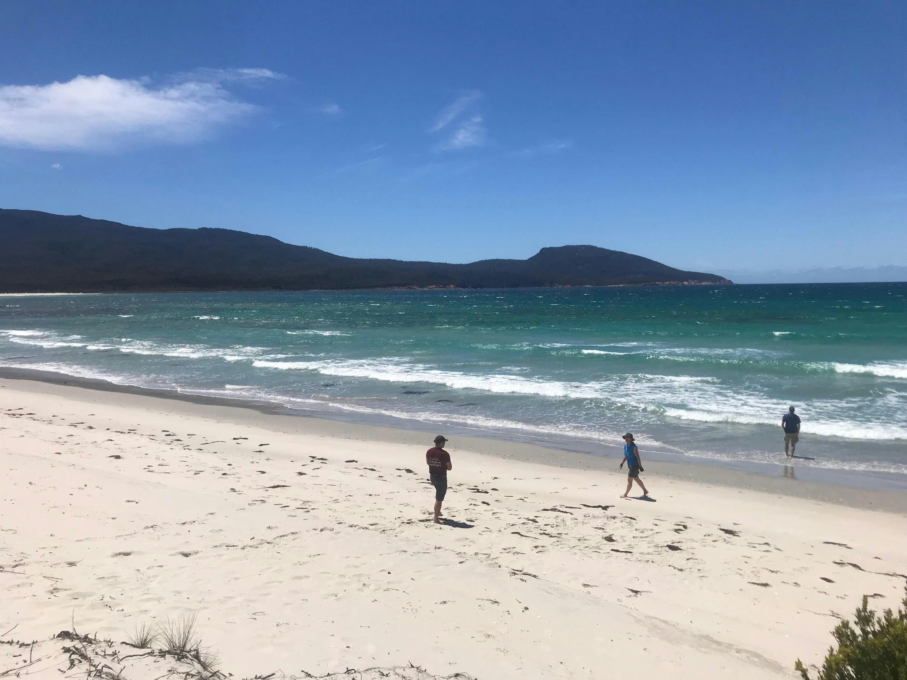 Surf beach on the Eastern side of McRaes Isthmus
