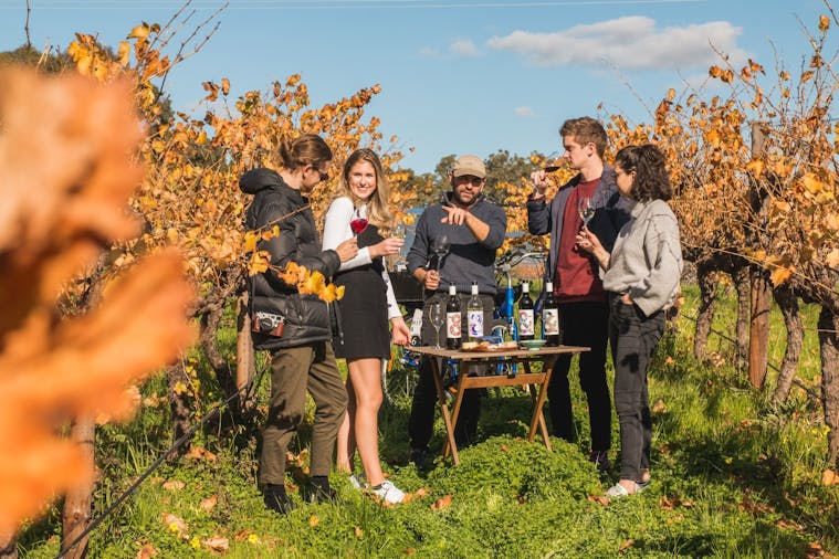 Discover McLaren Vale - Wine Sustainability