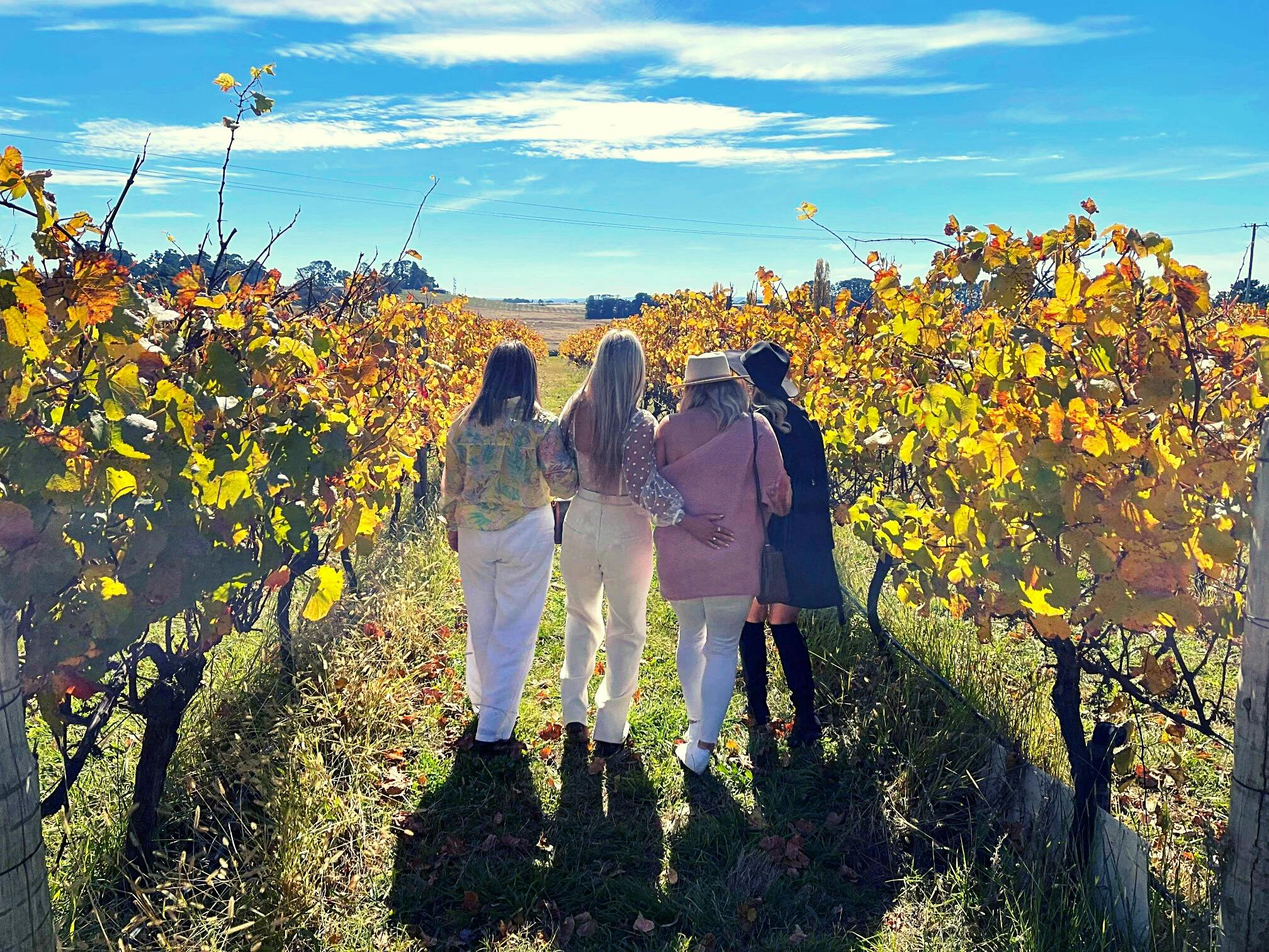 Orange Wine Tours