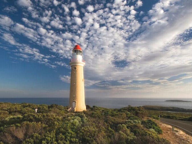 Kangaroo Island with Barossa Valley