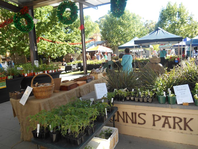 Clare Show Market