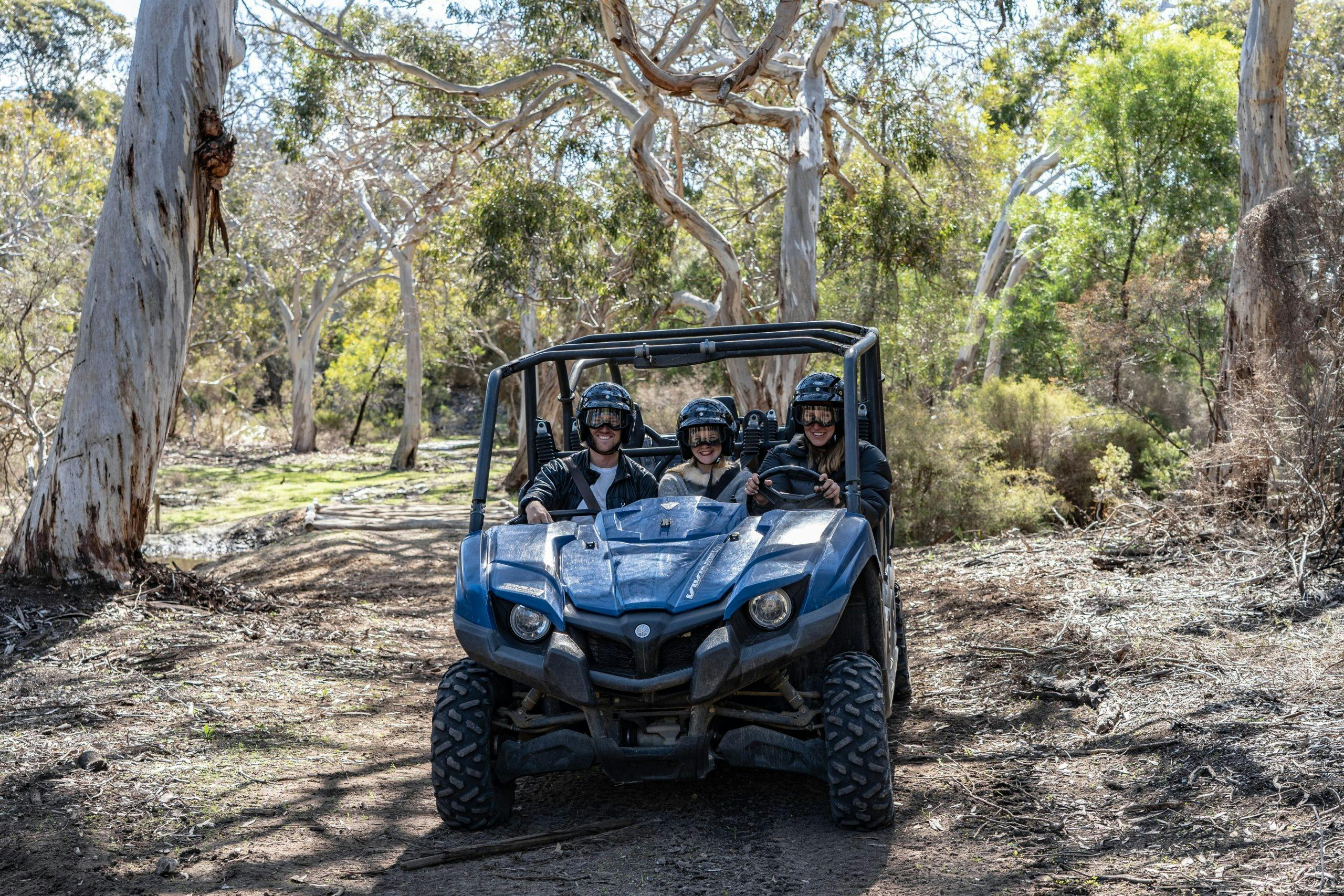 Buggy bush
