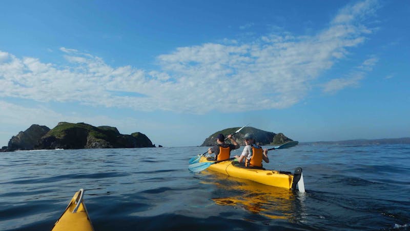 Five Day South Coast NSW Tour