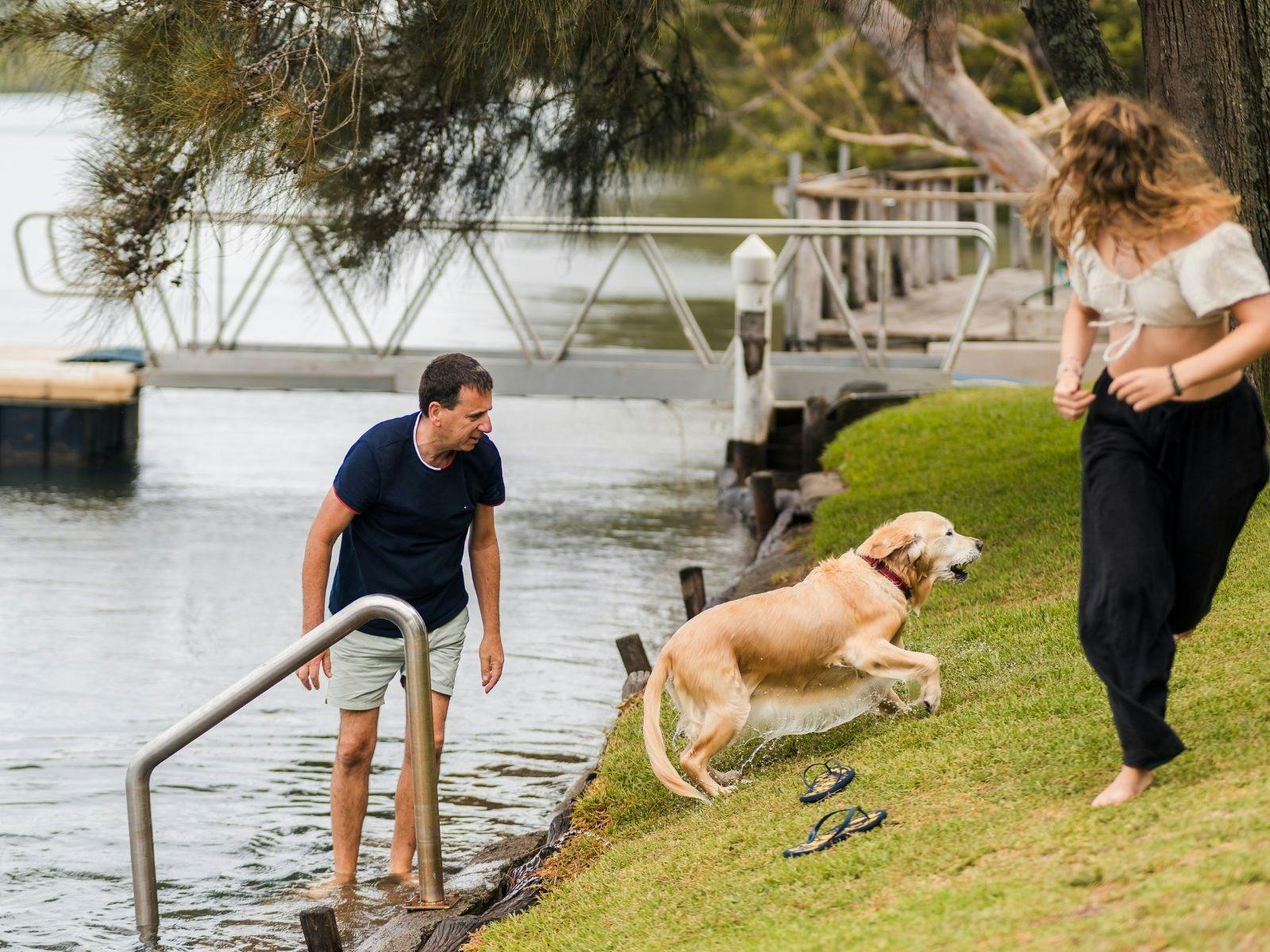 寵物友善公園 | 塔斯曼假日公園 - 傑維斯灣