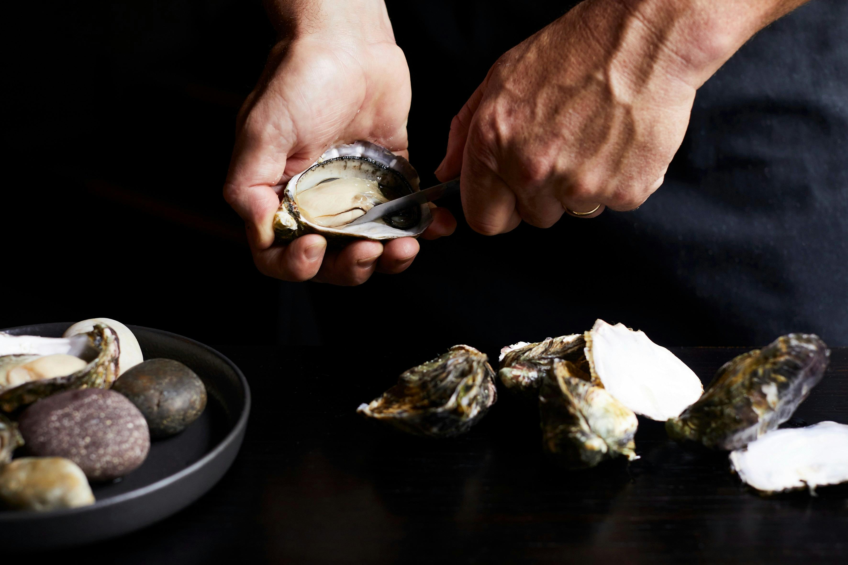 Freshly shucked oysters Stelo