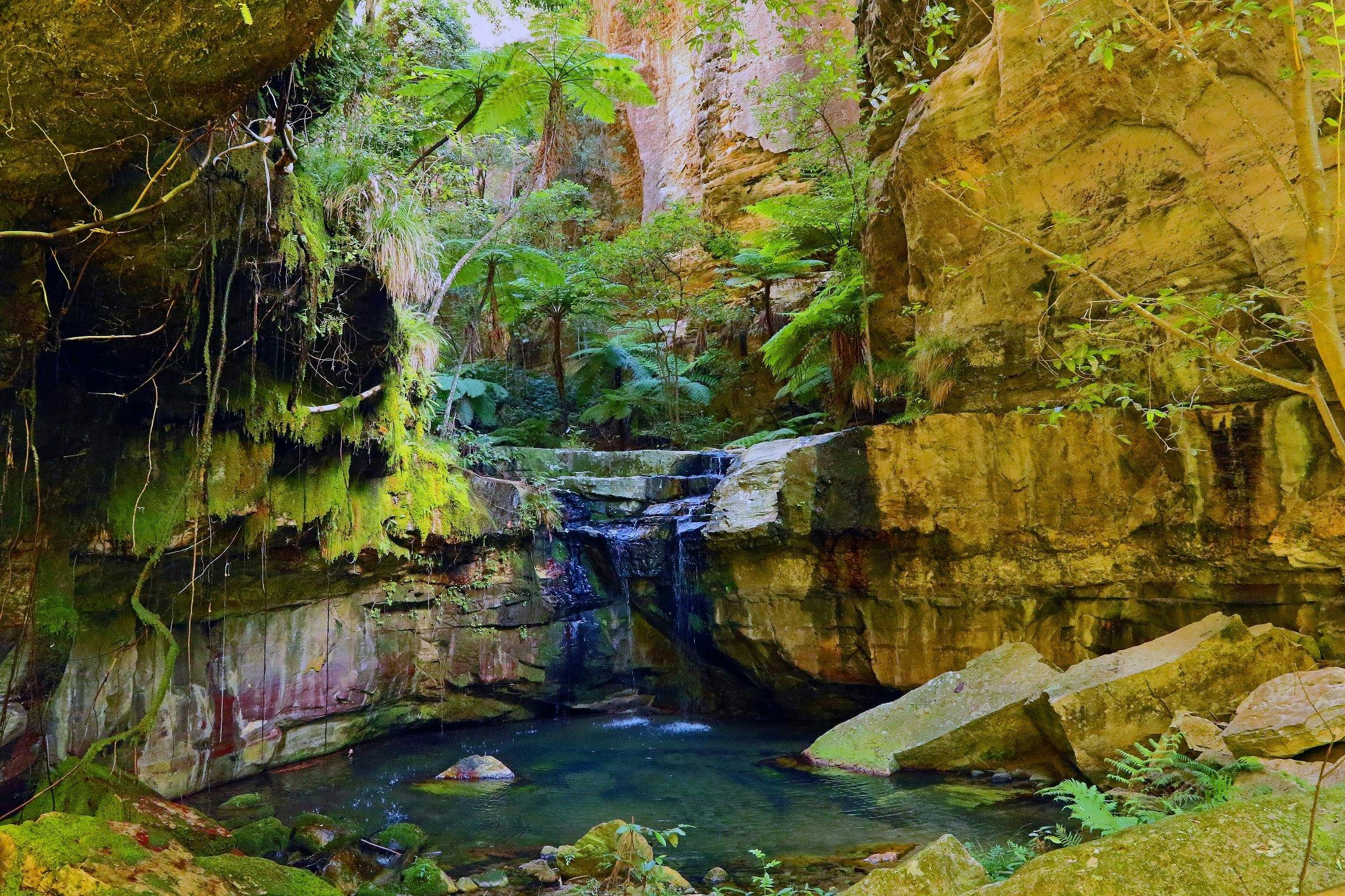 Carnarvon Gorge