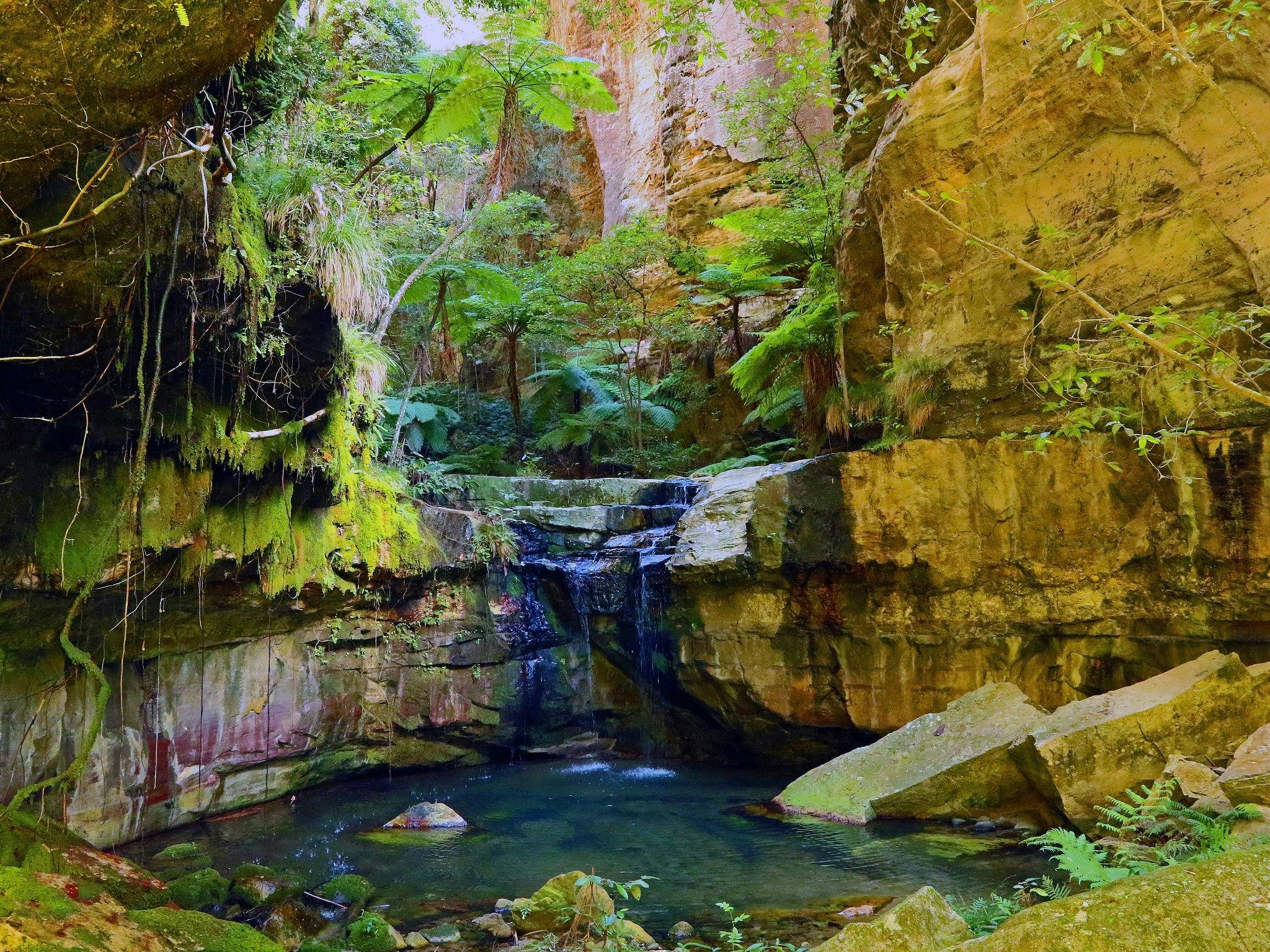 Carnarvon Gorge Carnarvon Gorge