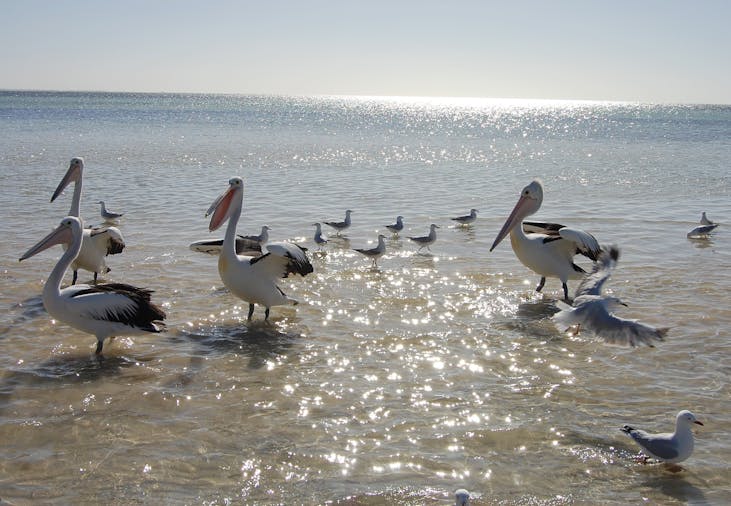 Hardwicke Bay