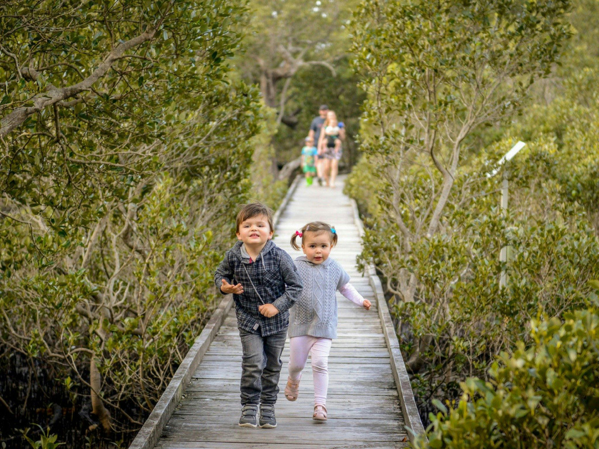 Boardwalk, inclusive, accessible, mangrove, saltmarsh,