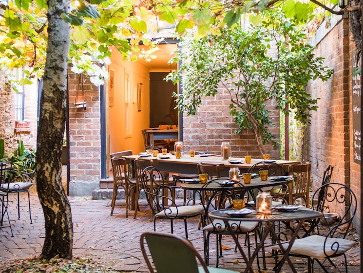 Vine covered courtyard