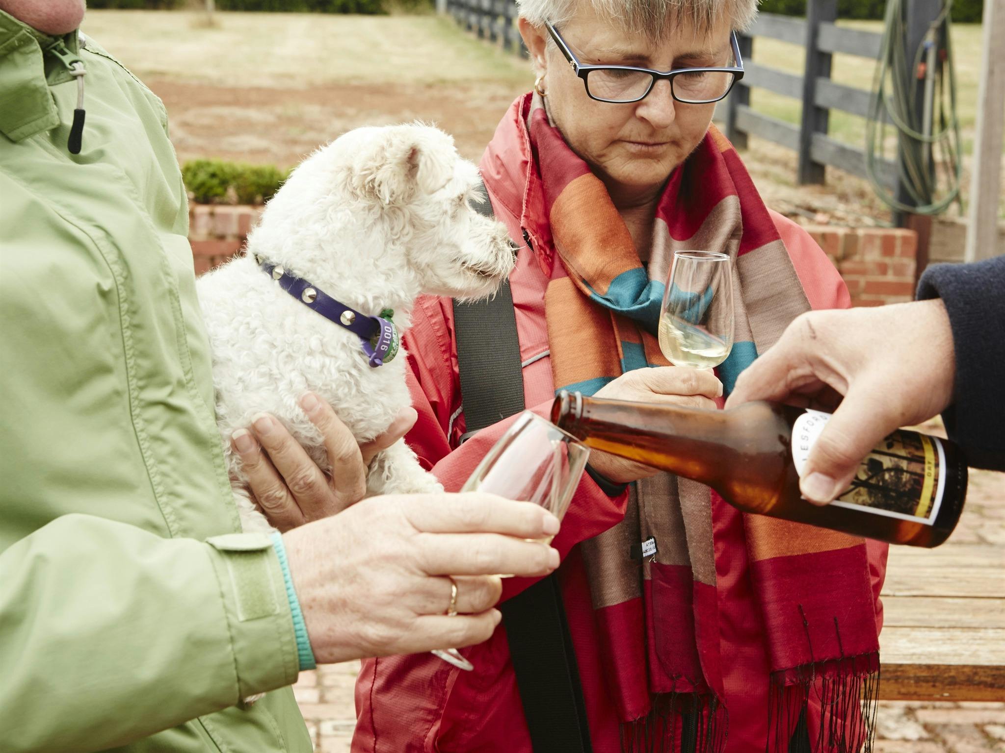 Gourmet Pawprints - Dog Friendly Tours