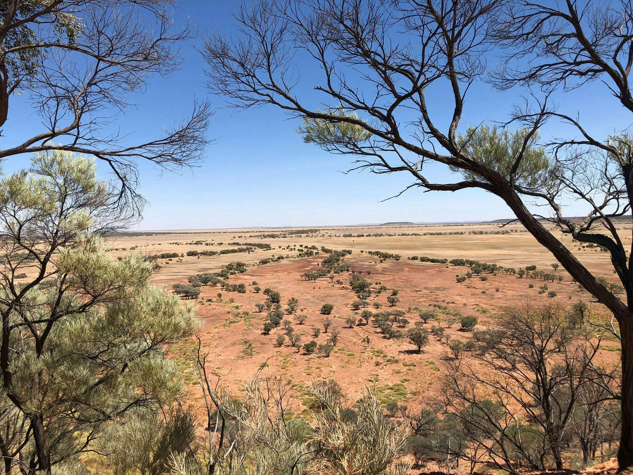 Scrammy Lookout at Bladensburg National Park