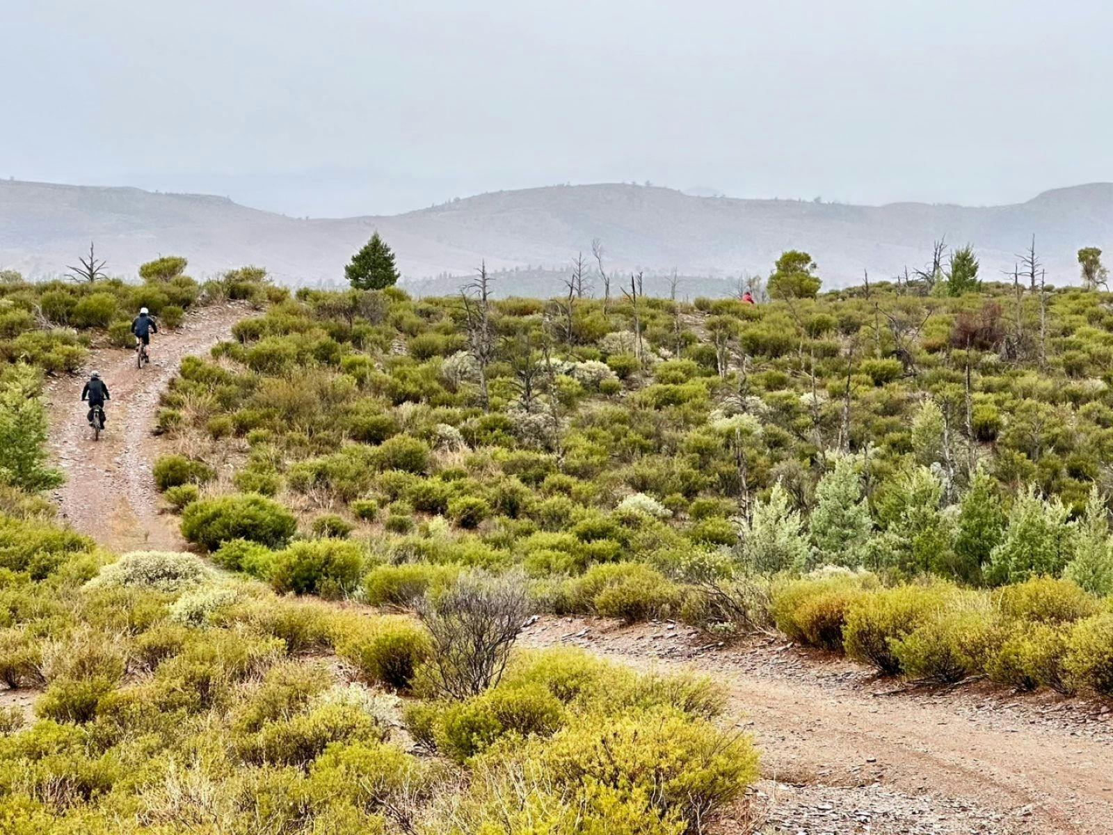 Flinders Ranges and Clare Valley Bike Tour