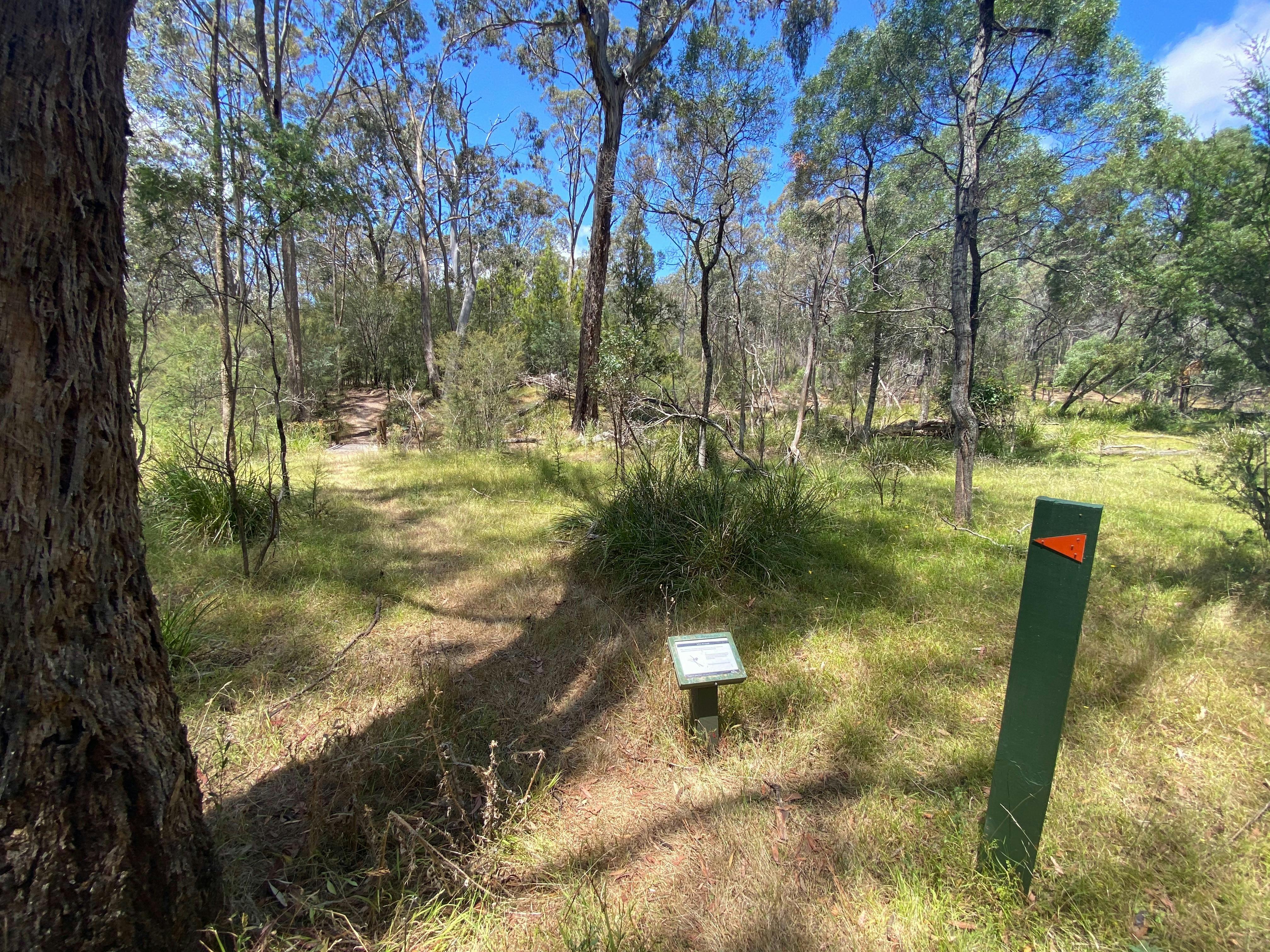 Candlebark Gully Nature Trail