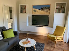 Living room with TV and fold out sofa