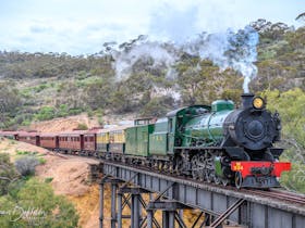 Afghan Express - Pichi Richi Railway - in beautiful Southern Flinders Ranges- Quorn to Port Augusta