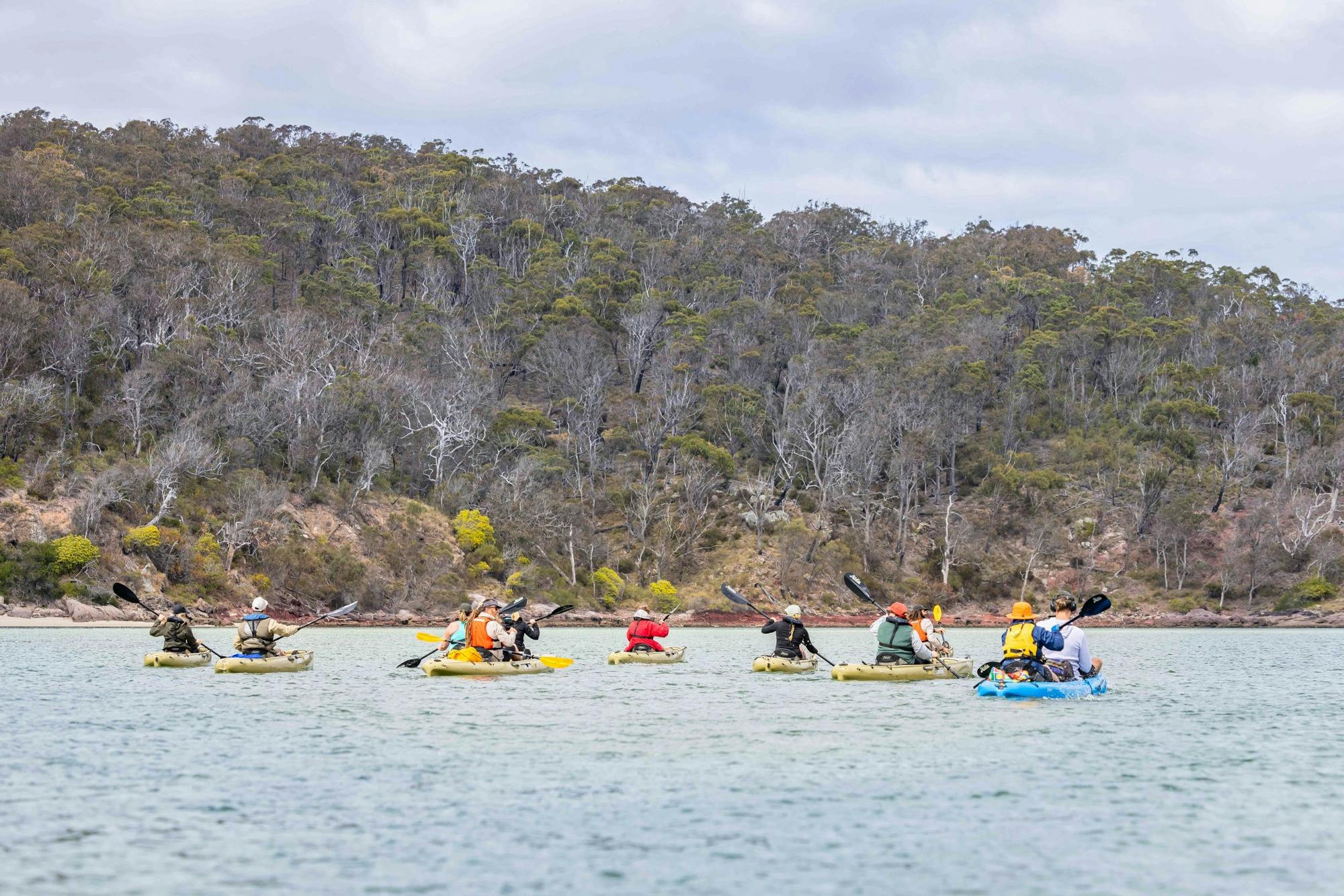 Guests kayaking the Pambula River